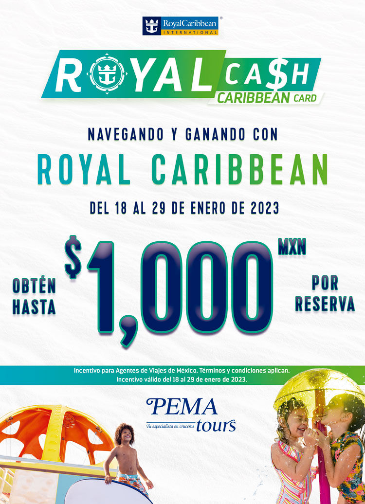 Descripción promoción