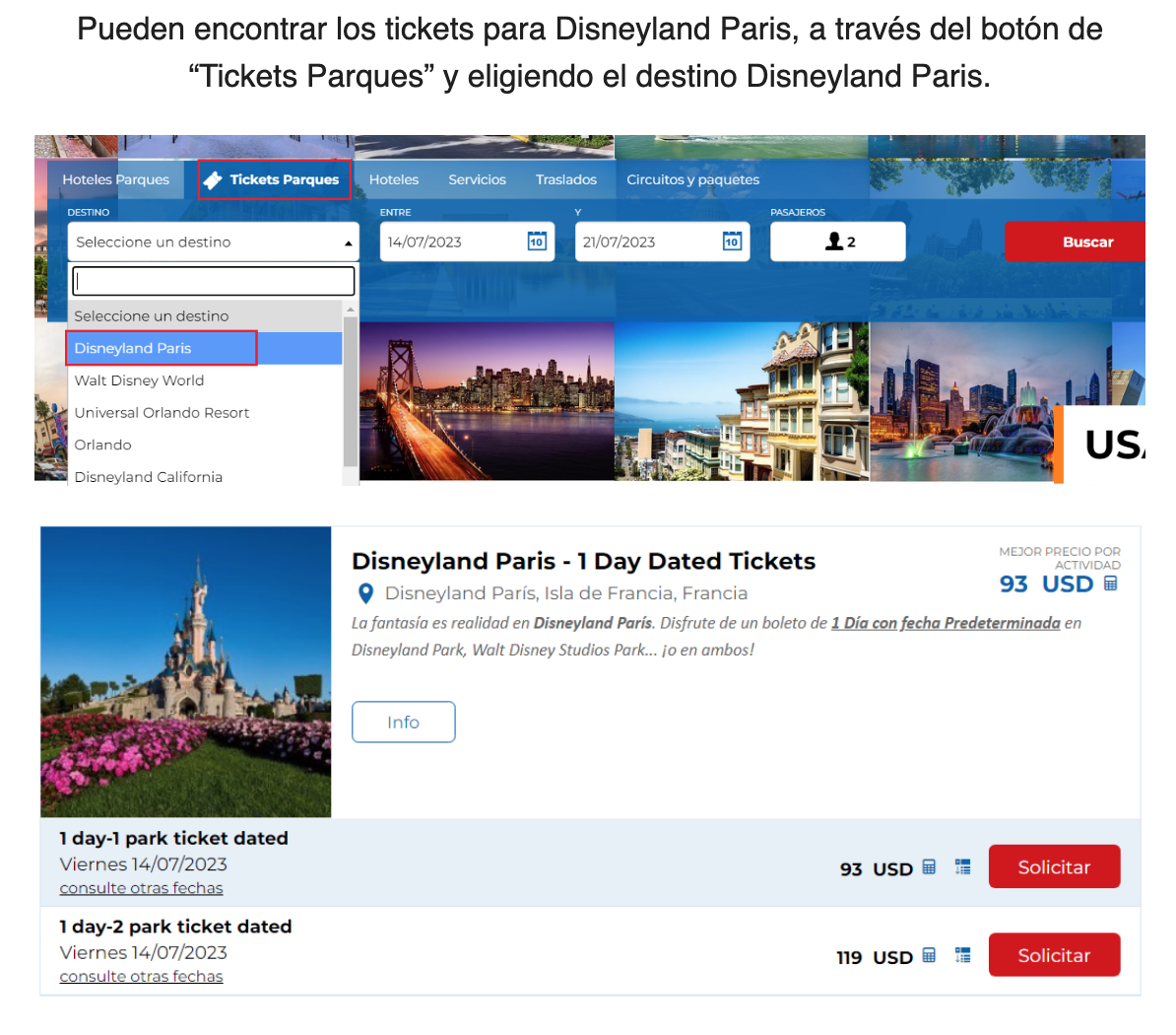 ejemplo pagina web para cotizar tickets disneyland paris