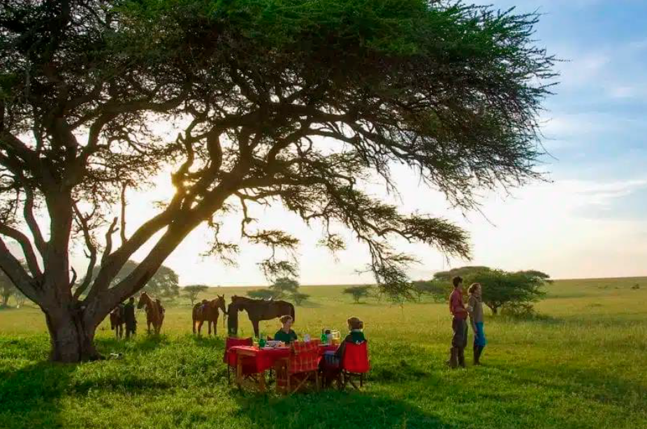 familia disfrutando del safari