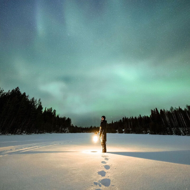 AURORAS BOREALES YUKON EXPRESS