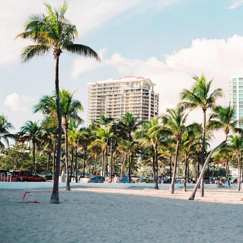 Playa Miami mostrando palma y edificio
