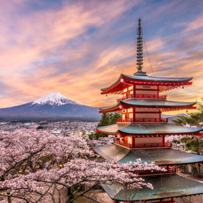 Hanami, Japón